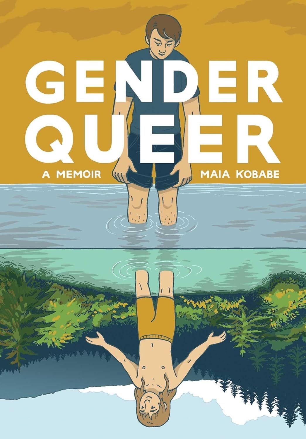 Gender Queer (Paperback)