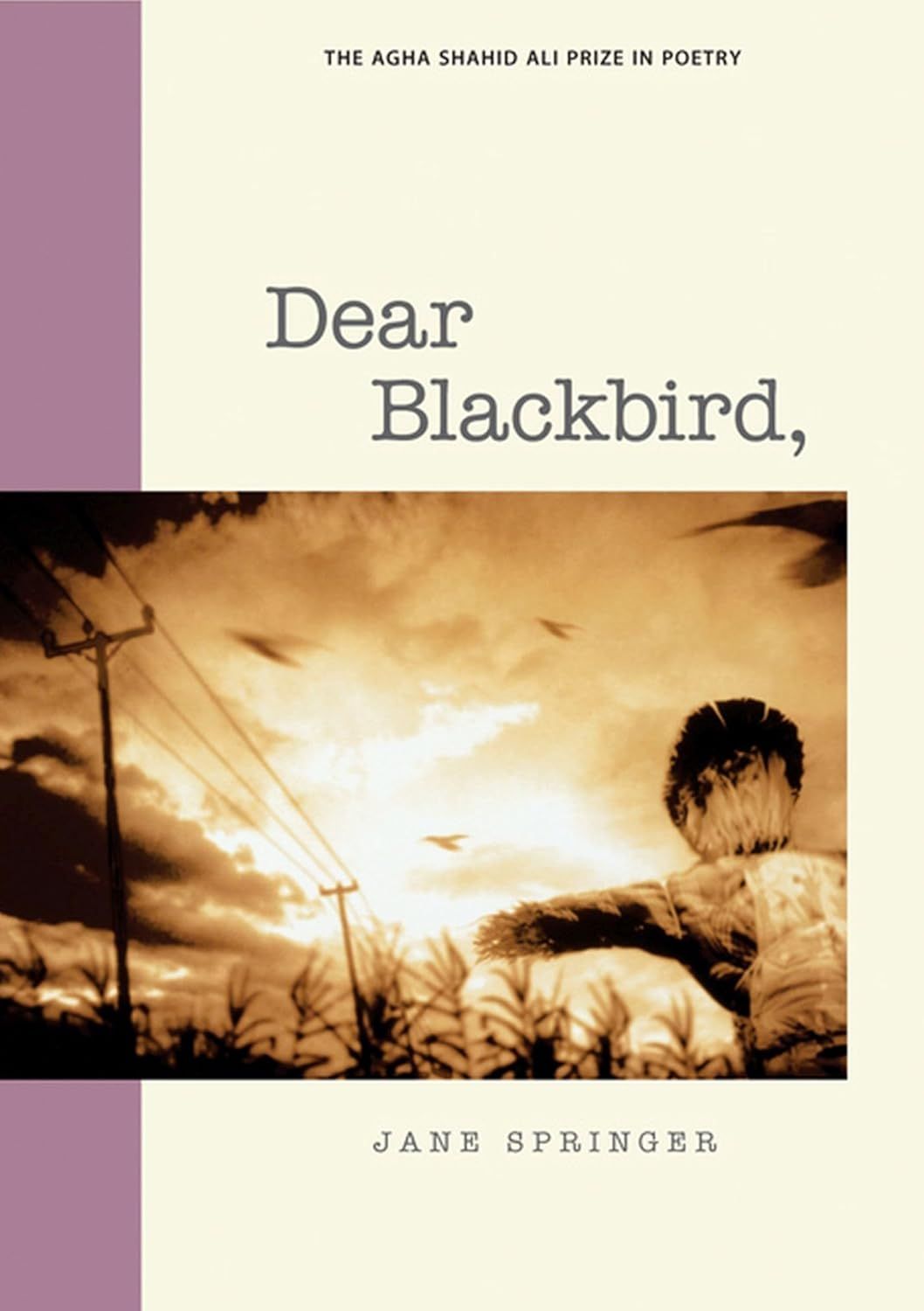 Dear Blackbird,