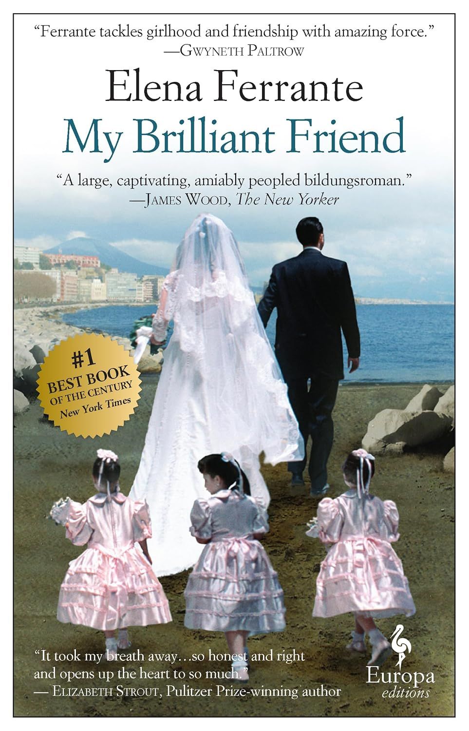 My Brilliant Friend (Paperback)