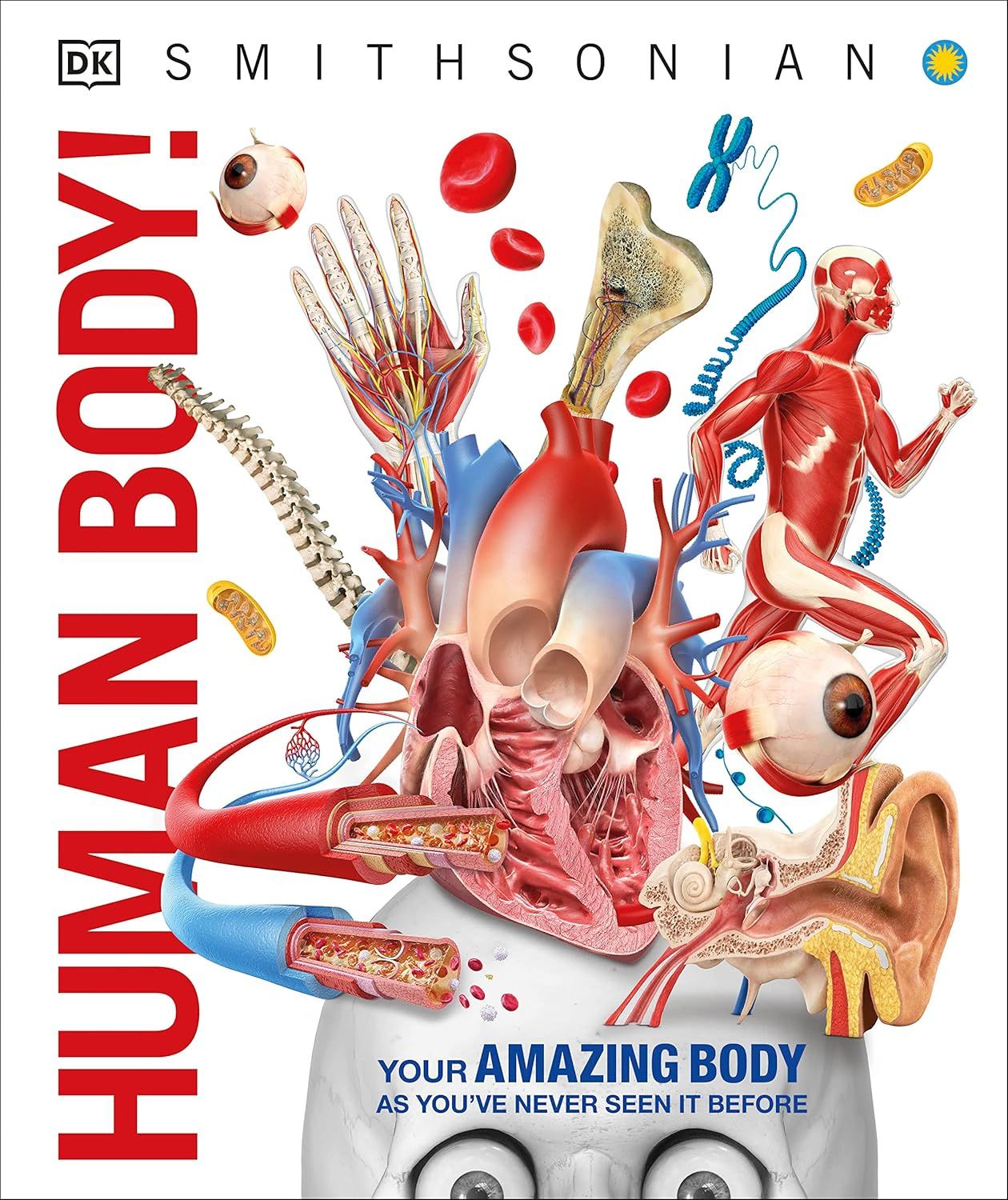 DK Smithsonian: Human Body!
