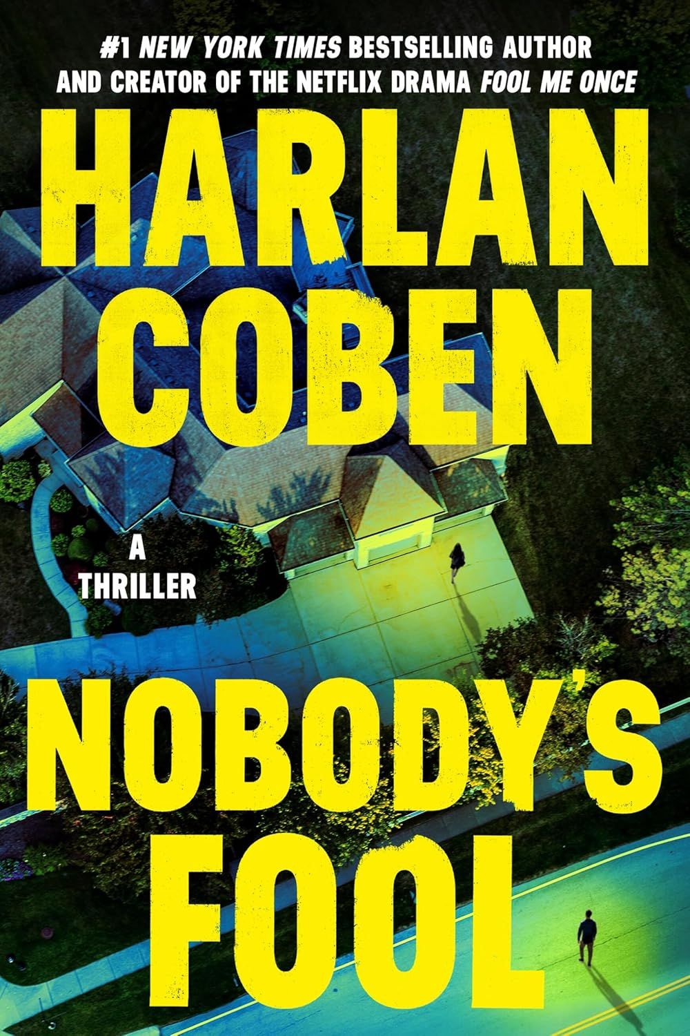 Nobody's Fool (Detective Kierce, #2)