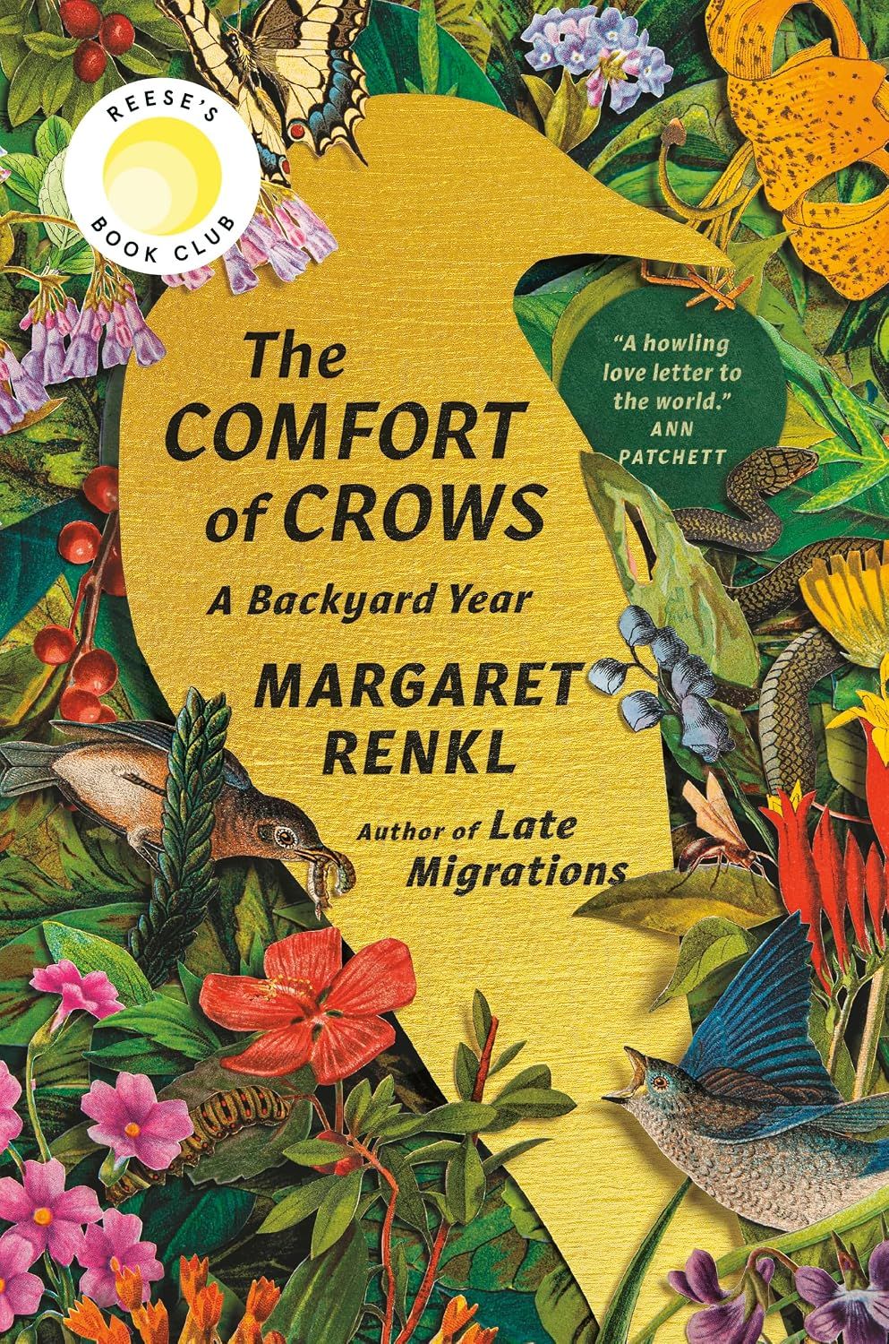 Comfort of Crows A Backyard Year (Hardcover)
