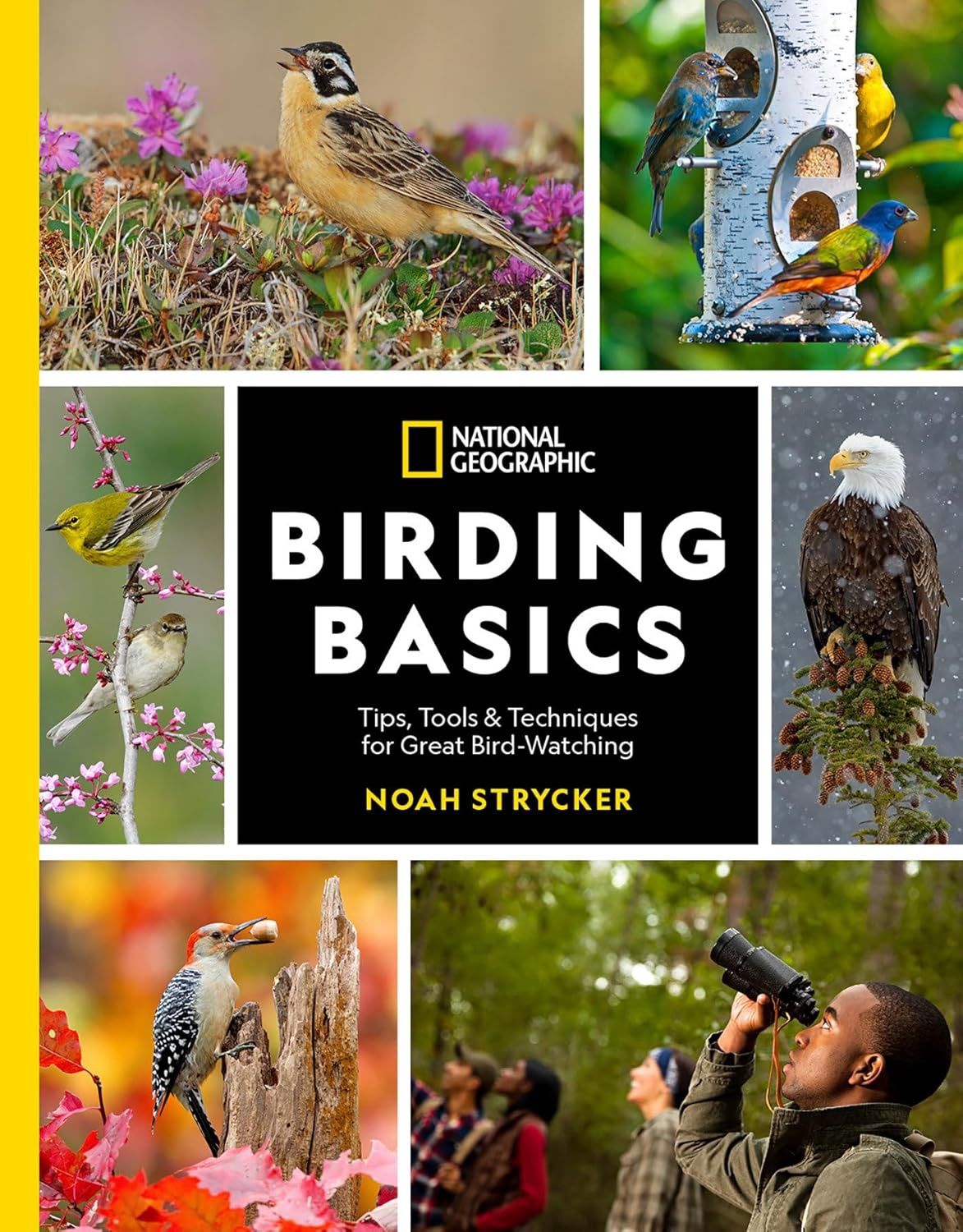 Birding Basics: Tips, Tools and Techniques for Great Bird-Watching