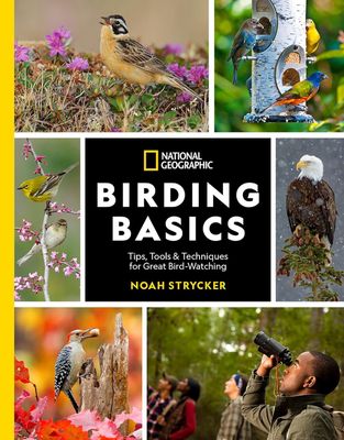 Birding Basics: Tips, Tools and Techniques for Great Bird-Watching