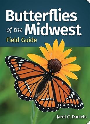 Butterflies of The Midwest
