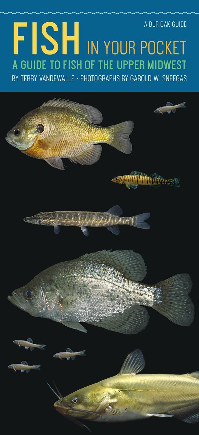 FISH in your pocket