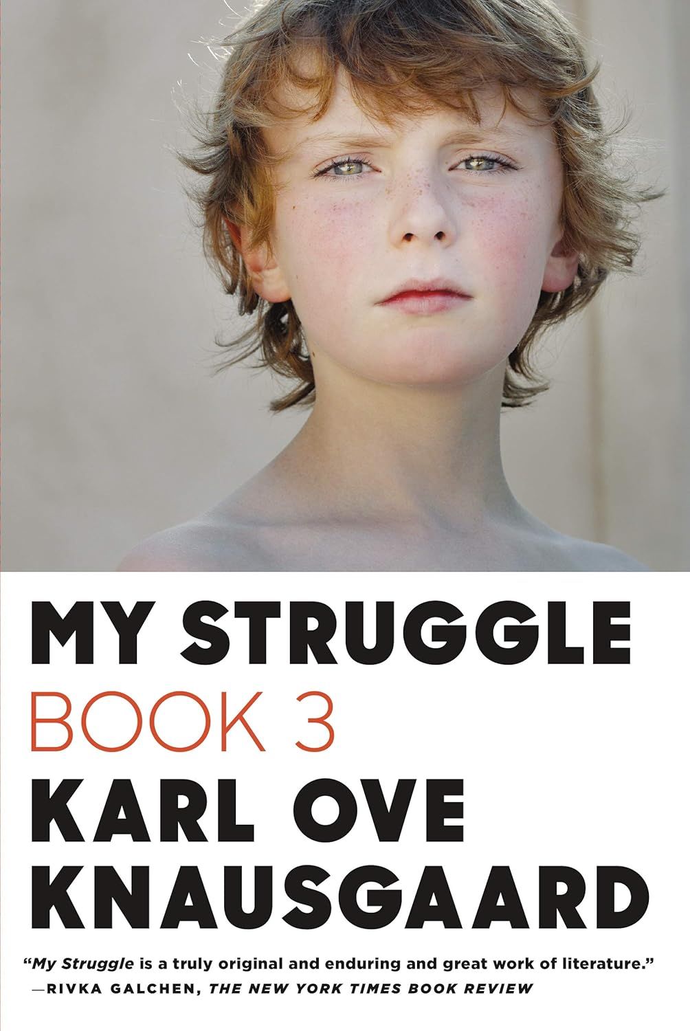 My Struggle Book 3 (Paperback)