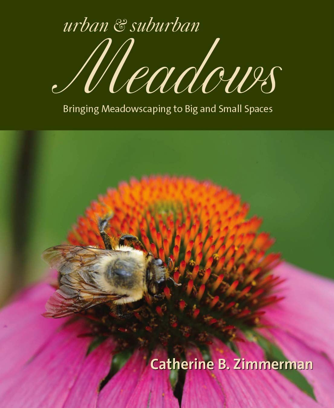 Urban &amp; Suburban Meadows