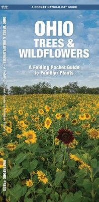 Ohio Trees &amp; Wildflowers