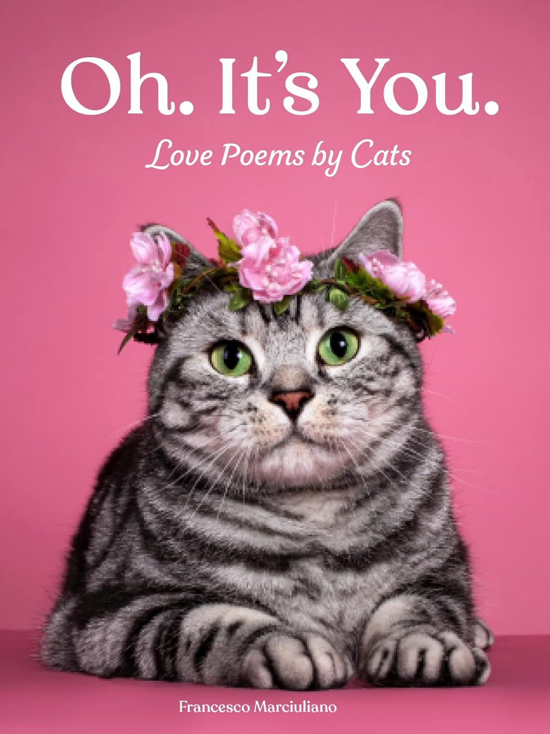 Oh, It's You: Love Poems by Cats
