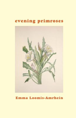 Evening Primroses