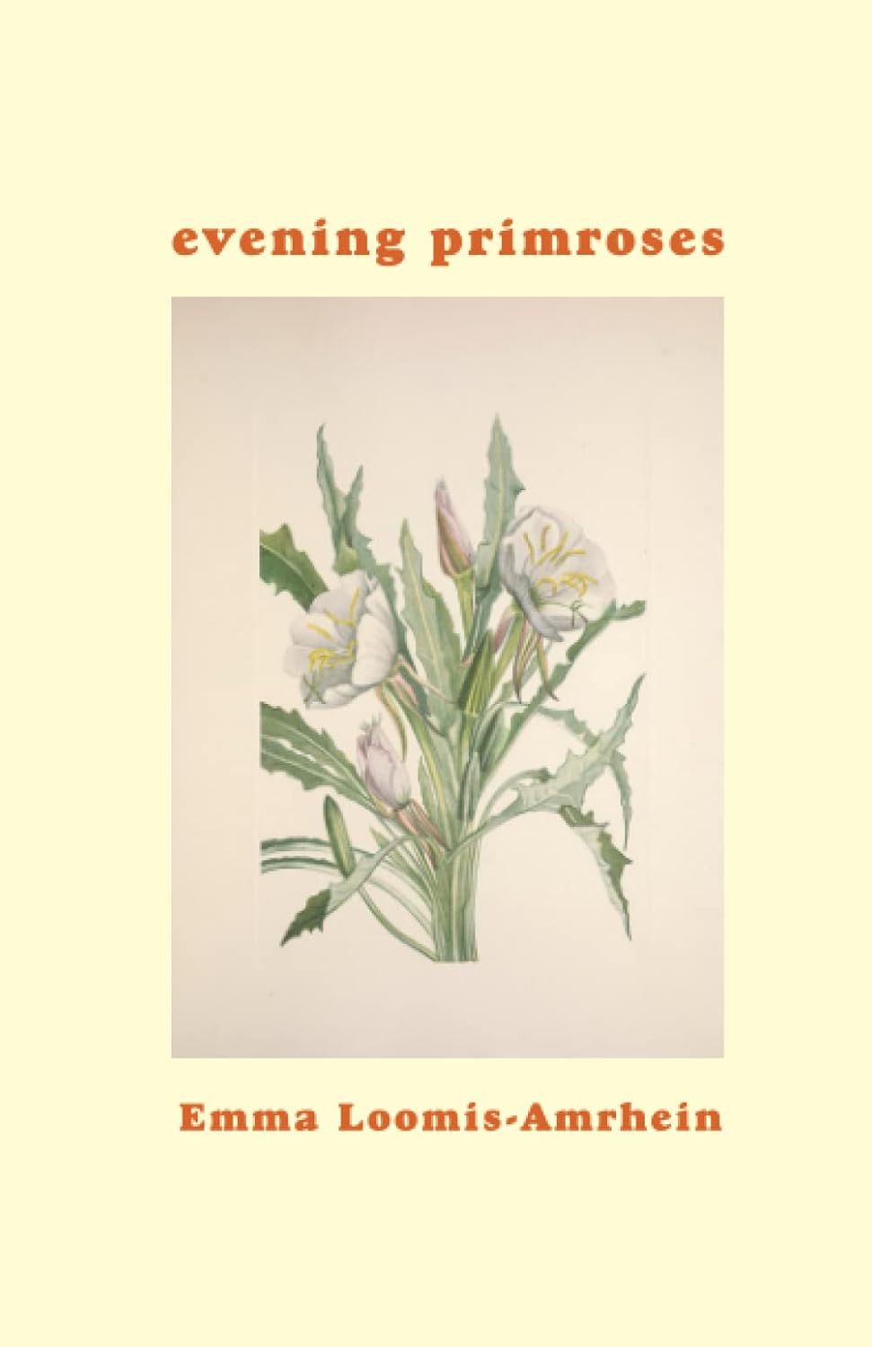 Evening Primroses (Paperback)