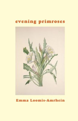 Evening Primroses (Paperback)