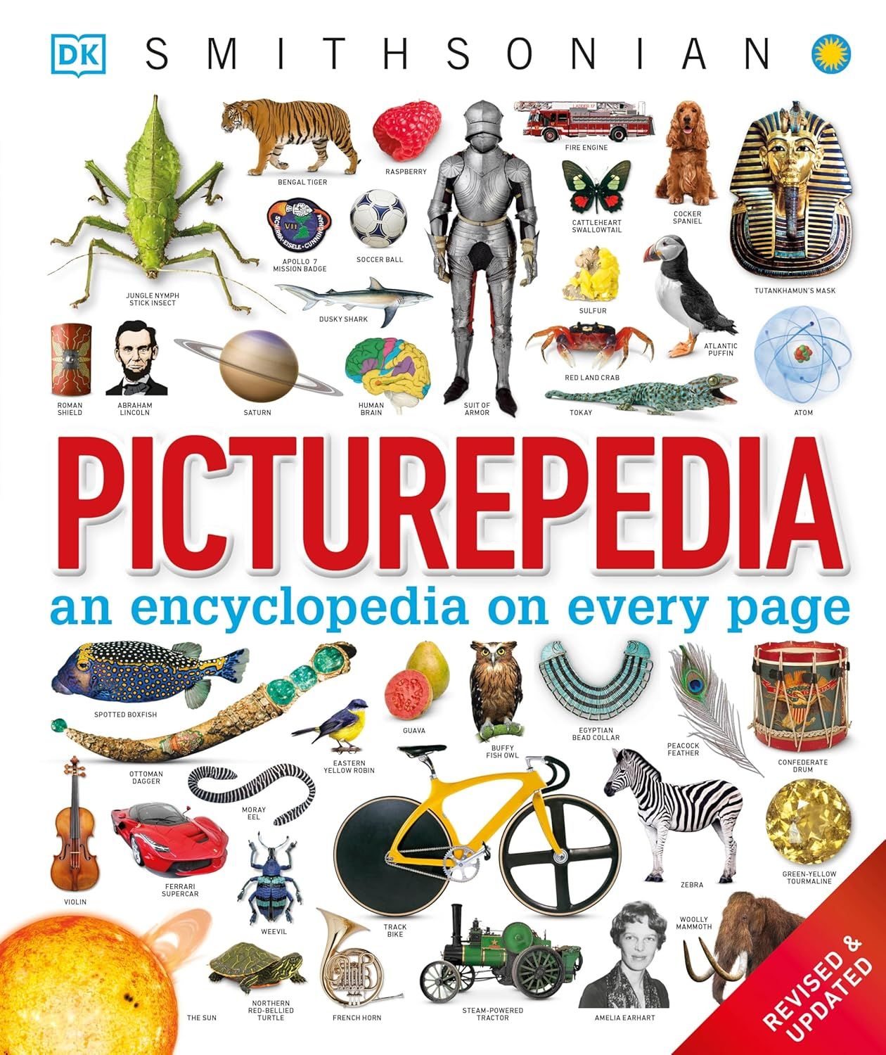 Picturepedia: An Encyclopedia on Every Page
