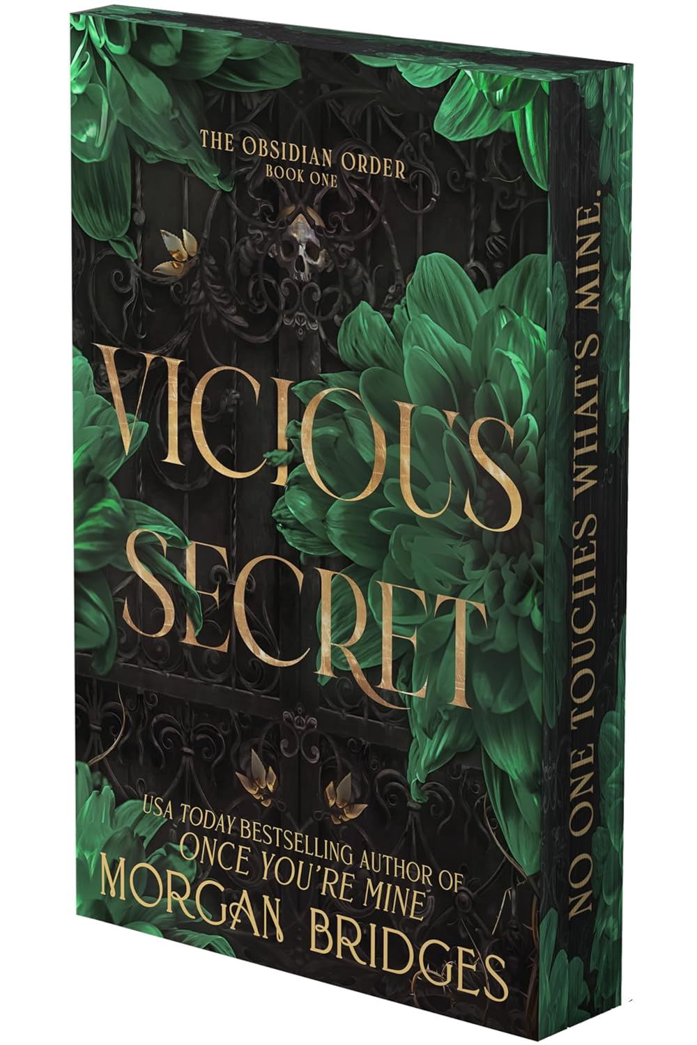 Vicious Secret (The Obsidian Order, #1)