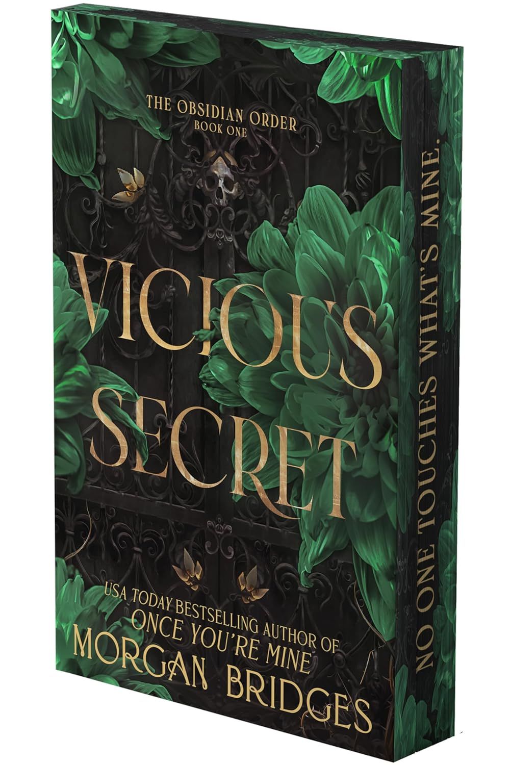Vicious Secret (The Obsidian Order, #1)