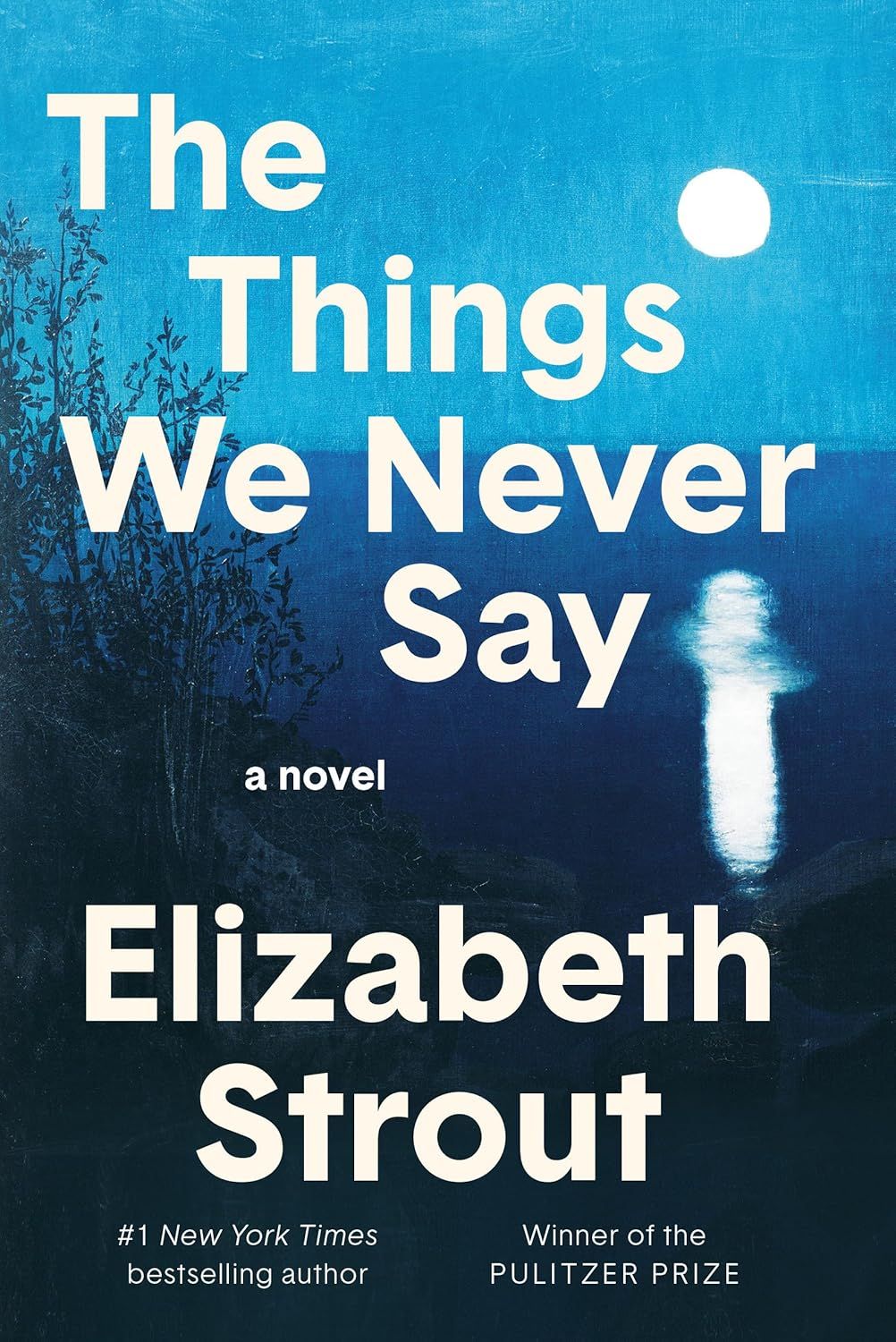 The Things We Never Say (Hardcover)
