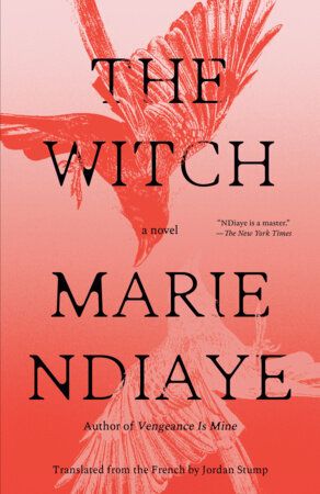 Witch, The (Paperback)