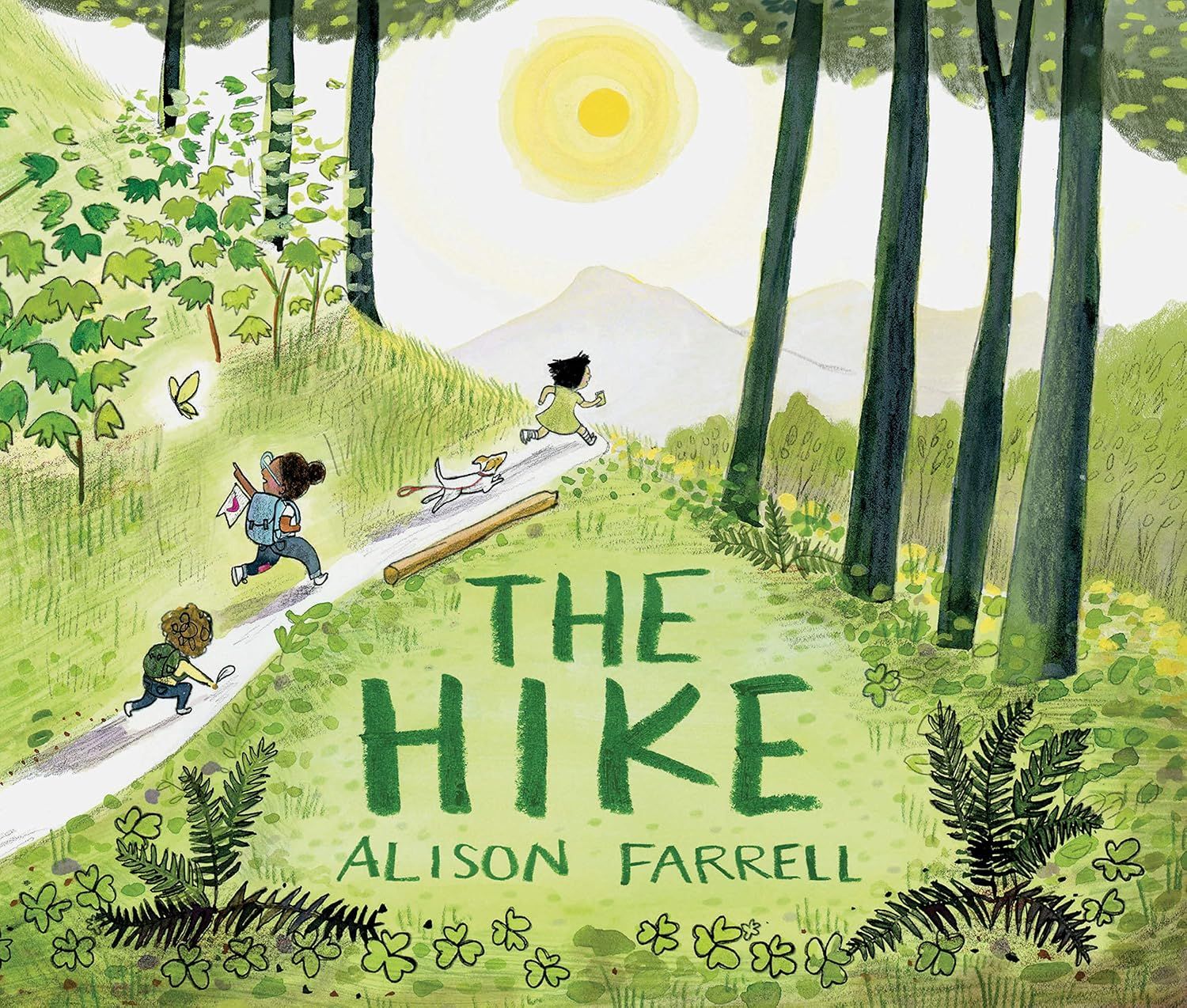 Hike, The (Hardcover)