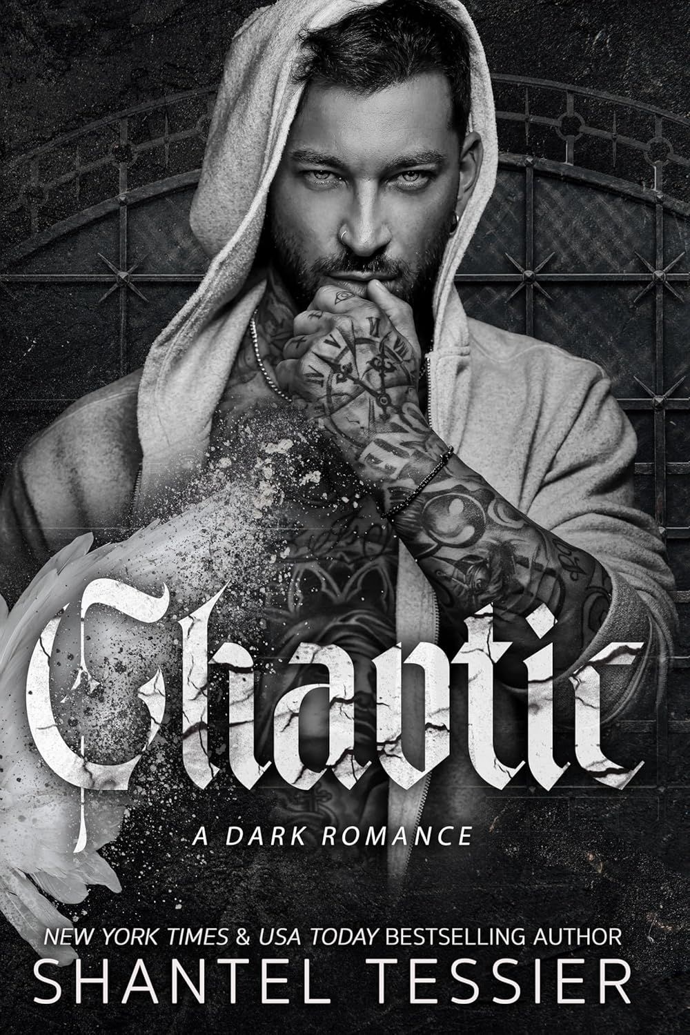 Chaotic (Paperback)