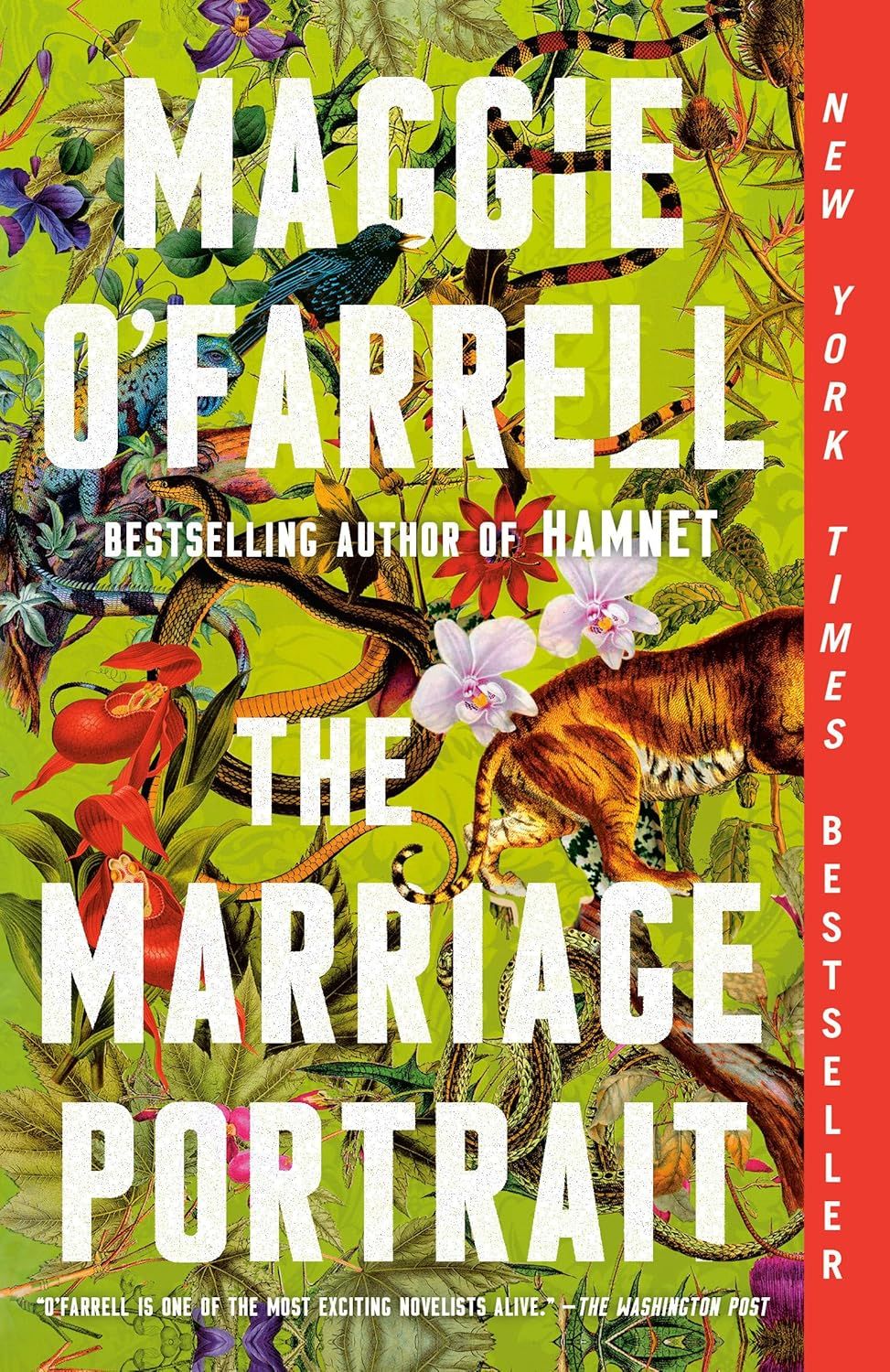 Marriage Portrait (Paperback)