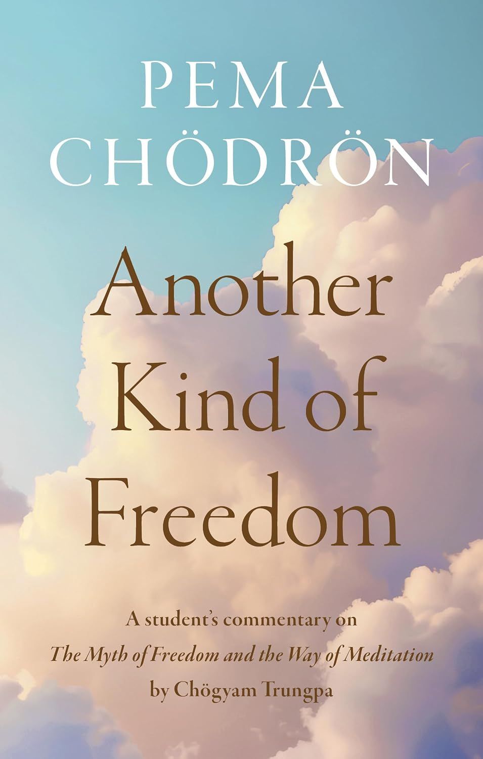Another Kind of Freedom (Hardcover)