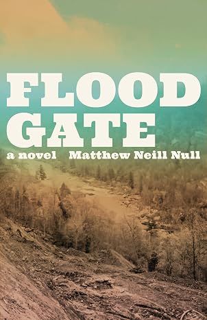 Flood Gate (Hardcover)