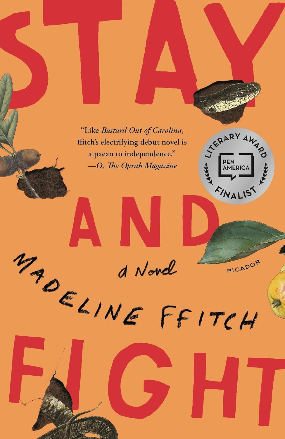 Stay and Fight (Paperback)