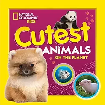 Cutest Animals on The Planet