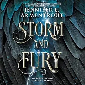 Storm and Fury (Paperback)