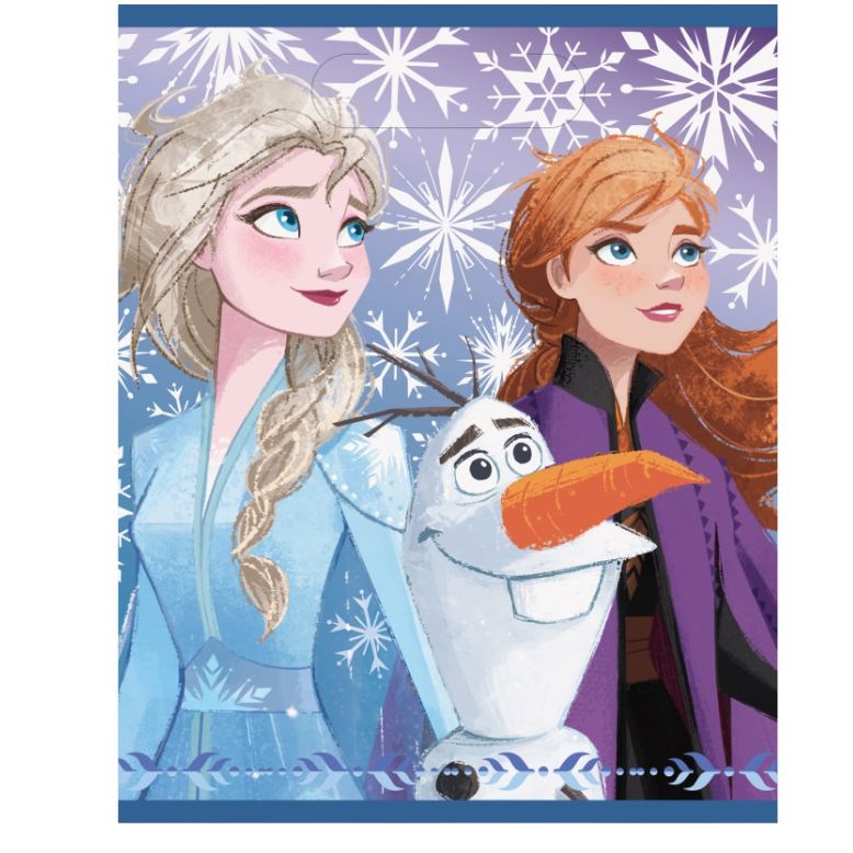 Disney Frozen 2 Loot Bags 8ct