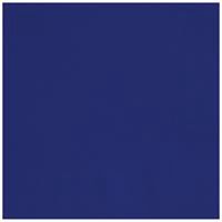 True Navy Solid Luncheon Napkins 40ct