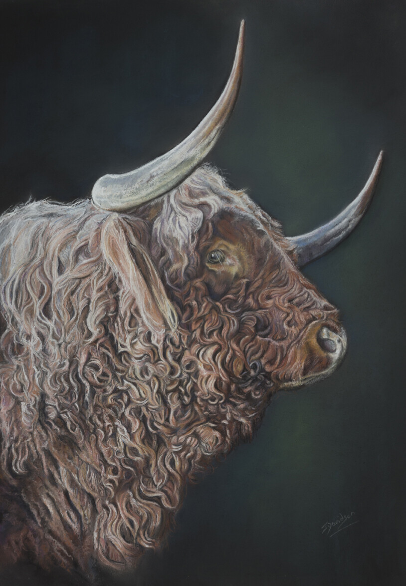 Old Highlander Old Highlander