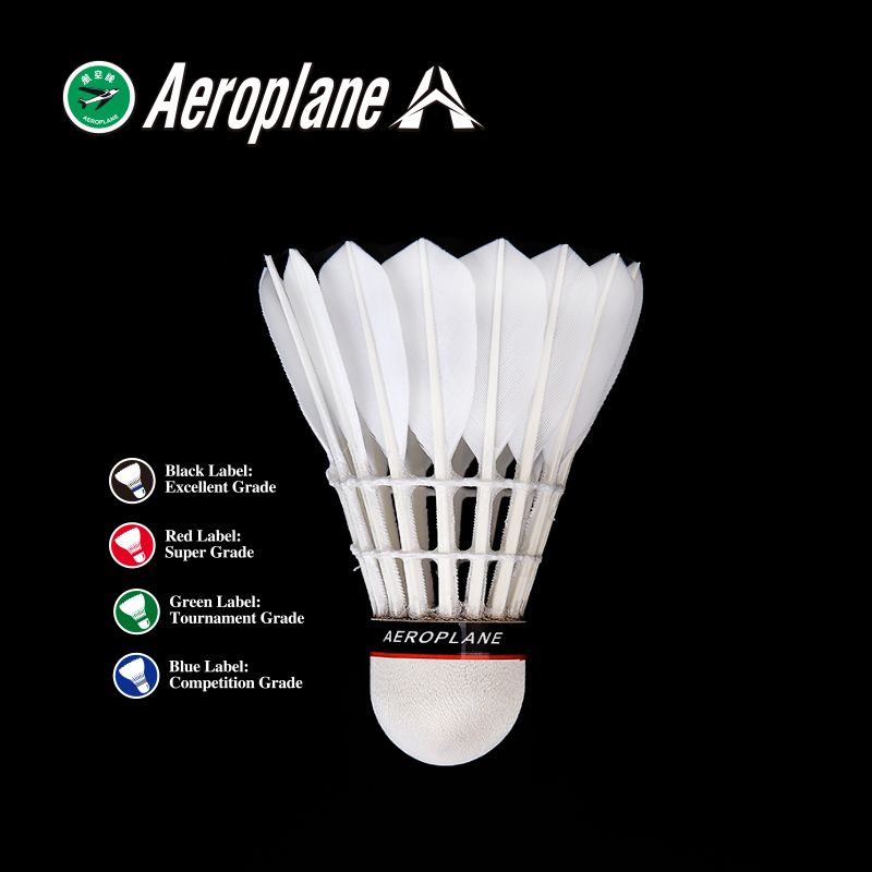 Aeroplane EG 1130 black - 10 Tubes