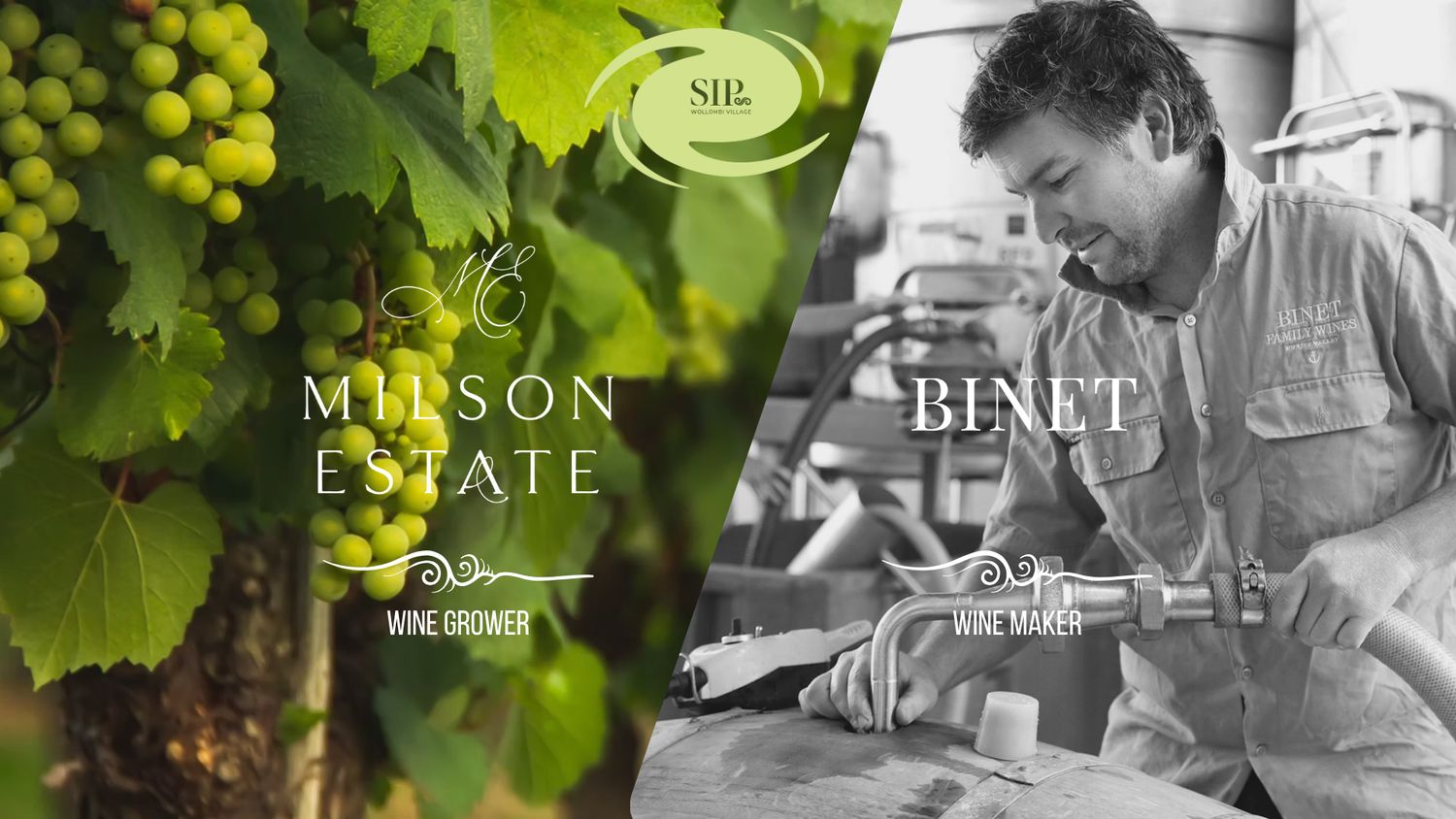From Vineyard to Bottle - talk &amp; special tasting