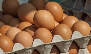 800g Organic Eggs