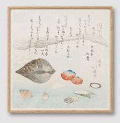 Reproduction of a 19th-century Japanese woodcut (ukiyo-e) by the artist Totoya Hokkei (1780–1850). “Shells” or sometimes “Kai Awase (Comparison of Shells)”