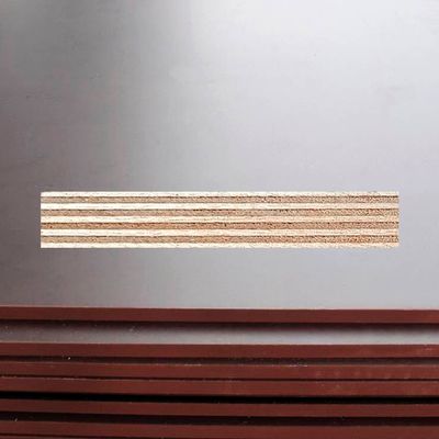 Filmbeschichtete Sperrholz Eucalyptus wasserfest beidseitig Film/Film 2500x1250x15 mm - Palette 62 Stk.
