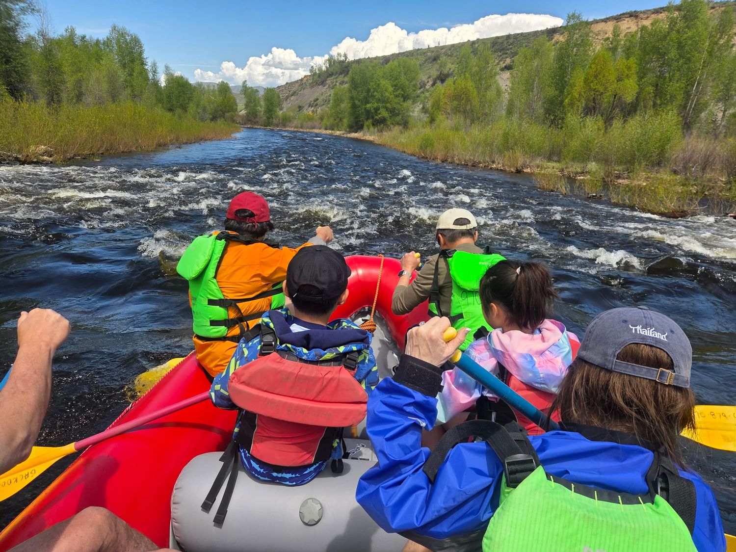 Rafting - Yampa Day Stretch