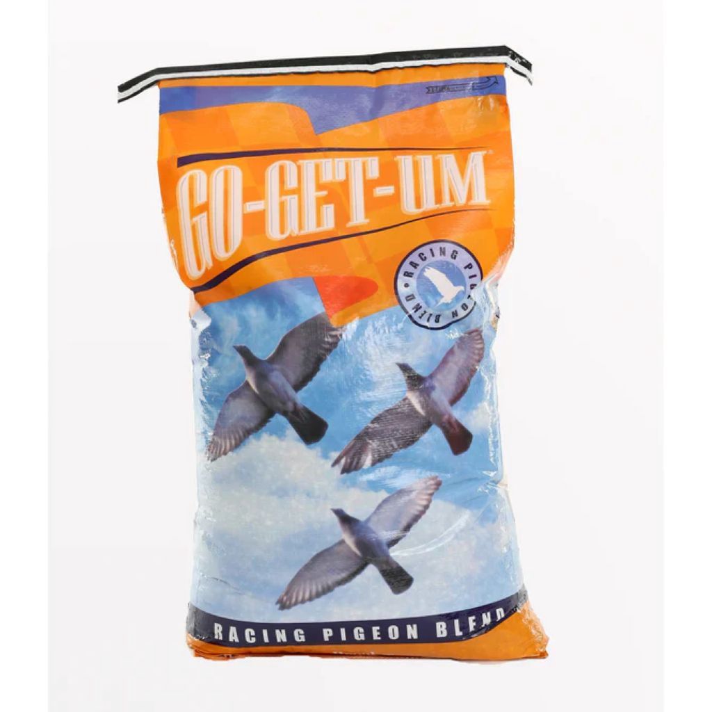 Pigeon Maintenace 11%