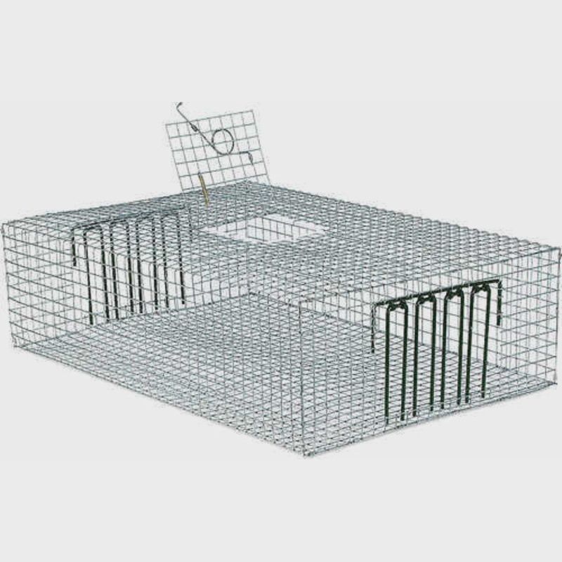 Trap 603 10 X 24 X 24 Pigeon
