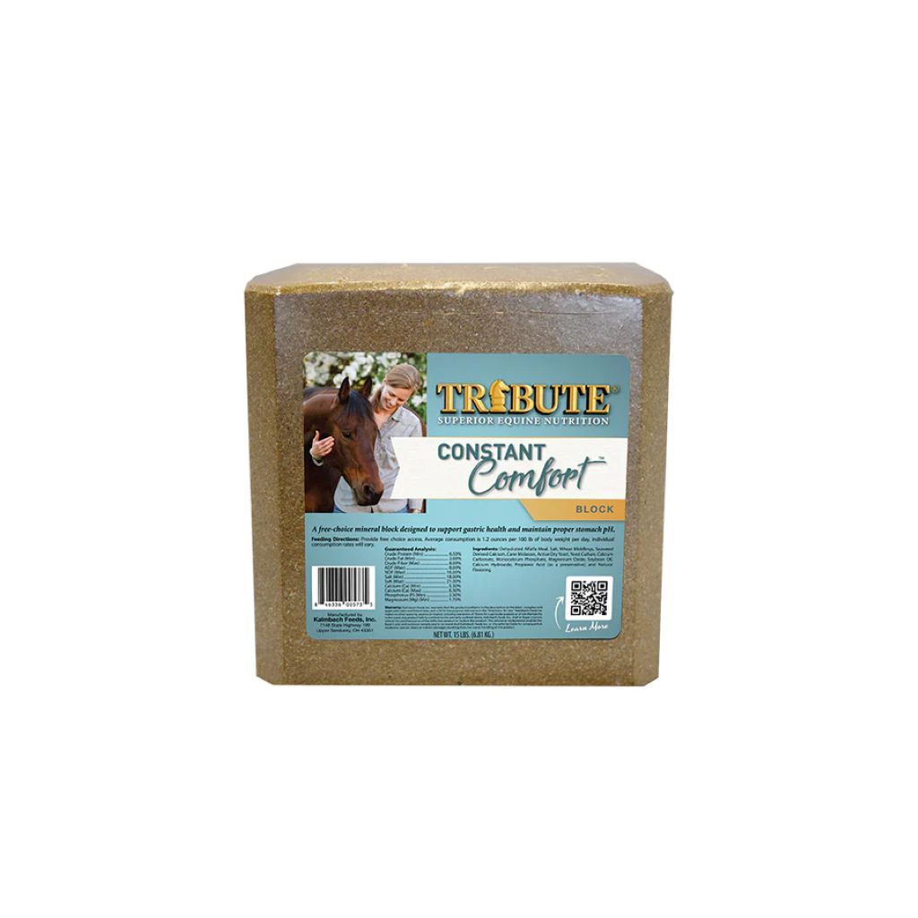 Tribute Constant Comfort Block 15#