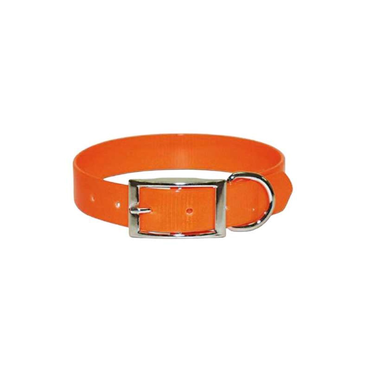 Sunglow Collar : 12" orange