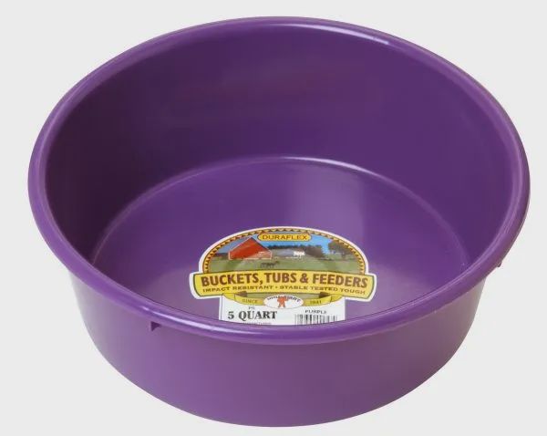 5 Qt Plastic Pan : purple