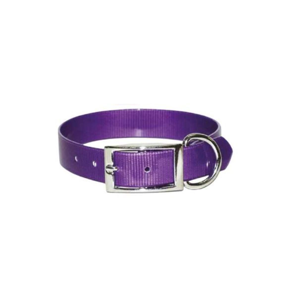 Sunglow Collar : 19" purple