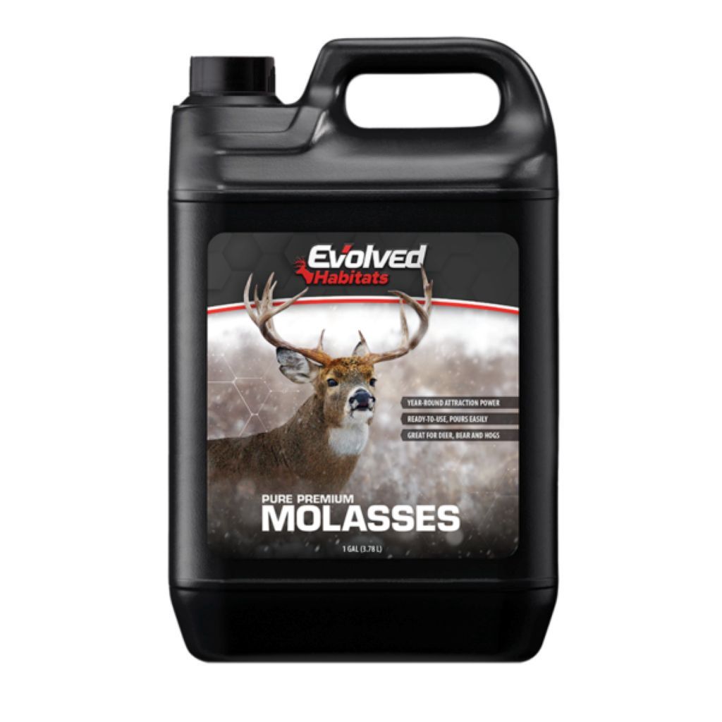Molasses 1 Gal
