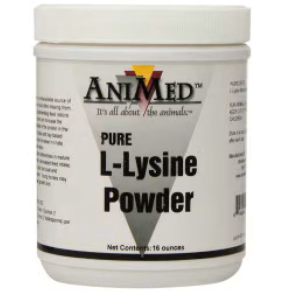 Animed L-lysine Powder 16oz