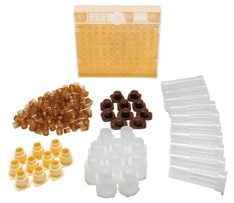 Queen Complete Rearing Kit