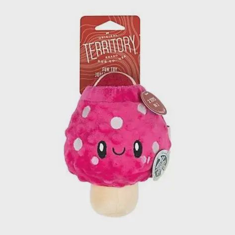 2 in 1 Mushroom Toy