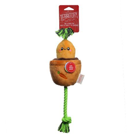 Carrot Plant Dog toy